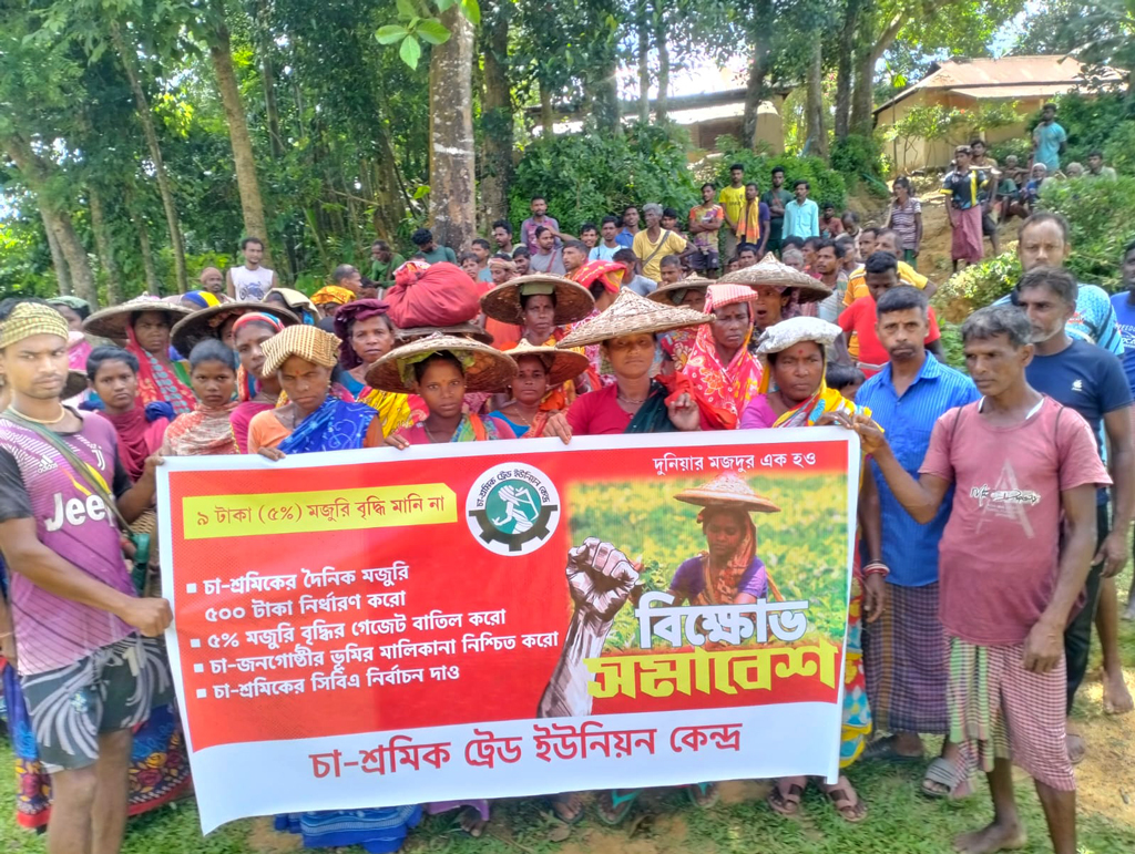 ৫ শতাংশ মজুরি বৃদ্ধি নয়, ৫০০ টাকা চান চা-শ্রমিকেরা