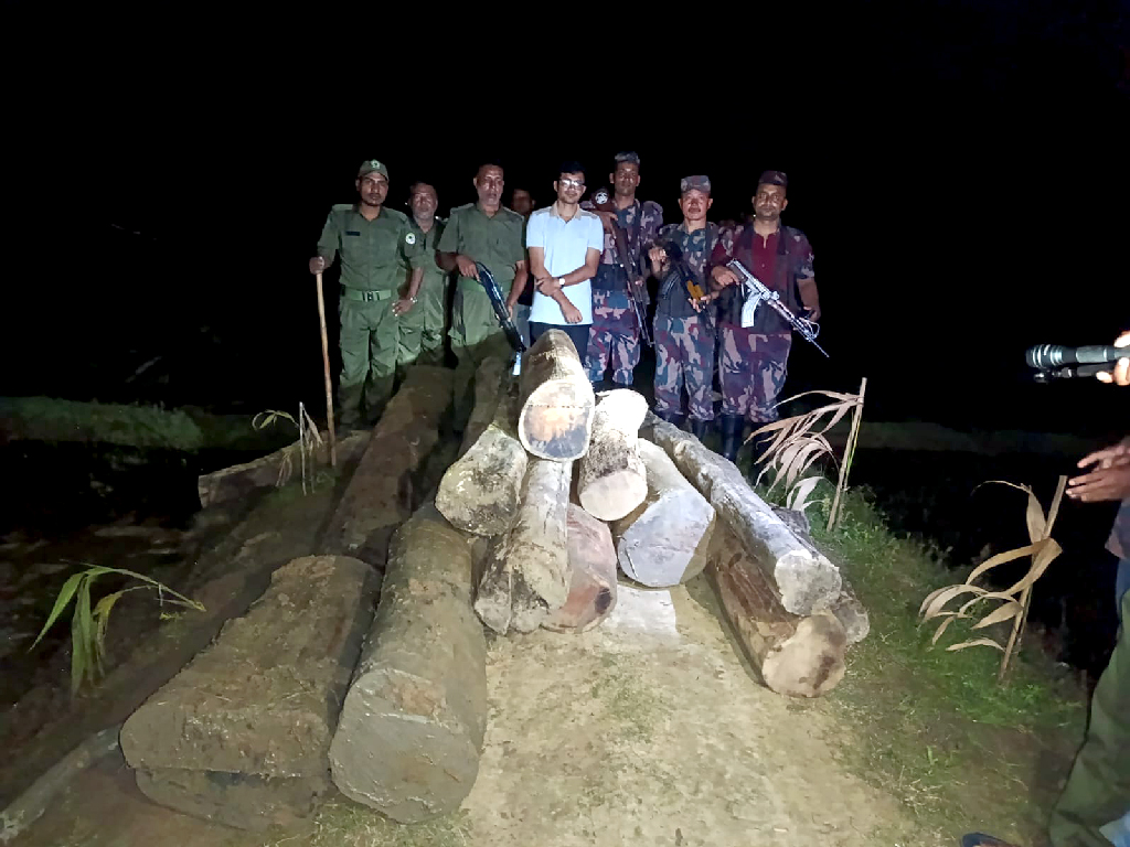 কমলগঞ্জে যৌথ অভিযানে সেগুন কাঠ জব্দ