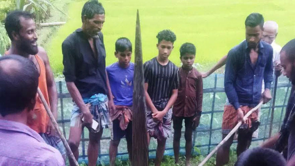 একে একে হারিয়ে যায় ৫ ছাগল, ২০ ফুট লম্বা অজগরকে পিটিয়ে হত্যা