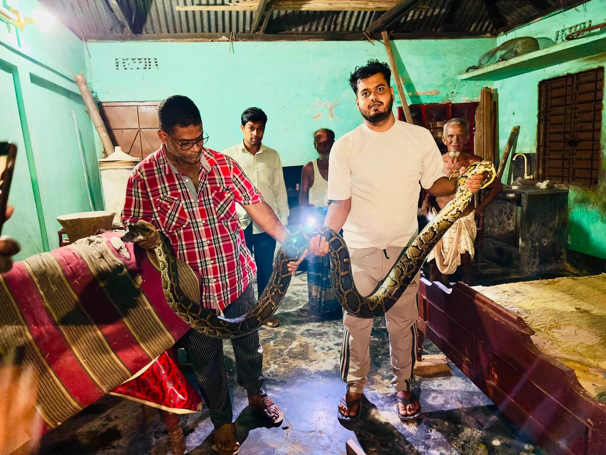 খাটের নিচে ১৬ ফুটের অজগর, শব্দ শুনেই ছুটাছুটি, অতঃপর উদ্ধার