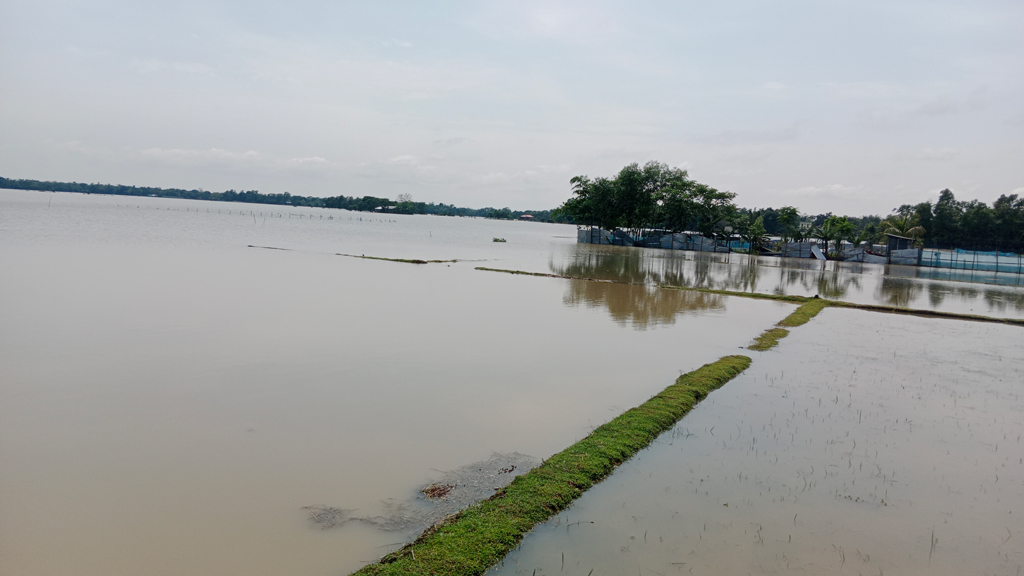 মৌলভীবাজারে নদ-নদীর পানি কমতে শুরু করেছে