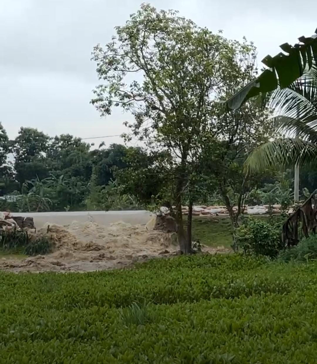 ধলাইয়ের পর এবার মনু নদের বাঁধে ভাঙন, মৌলভীবাজারে প্লাবিত হচ্ছে গ্রাম