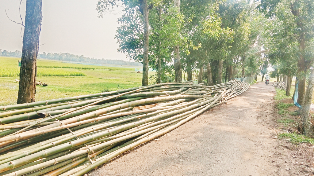 মৌলভীবাজার: অবাধে উজাড় সংরক্ষিত বন