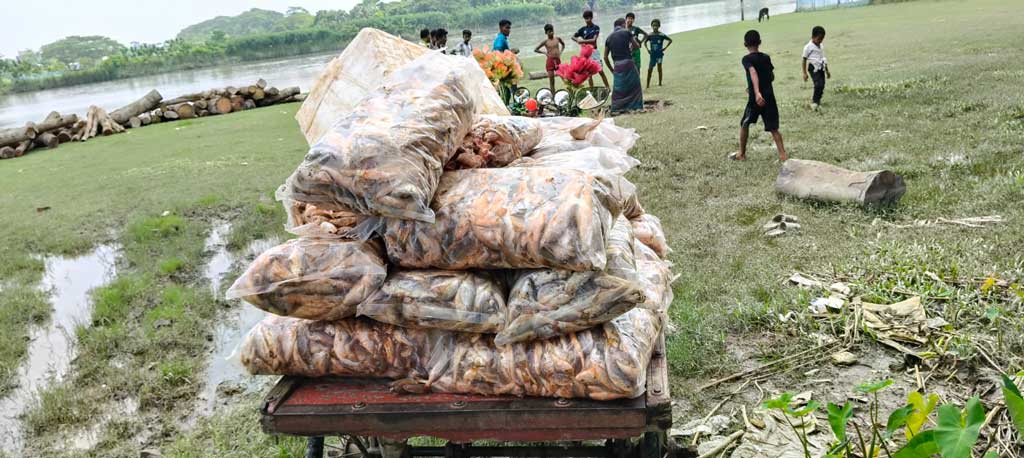 রাসায়নিক মিশ্রিত ৭০০ কেজি পোয়া মাছ জব্দ, অর্ধলাখ টাকা অর্থদণ্ড