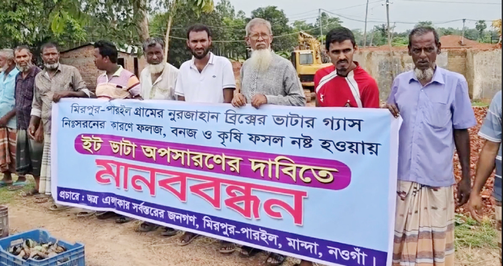 মান্দায় ইটভাটার ধোঁয়ায় ফসলের ক্ষতি, অপসারণ দাবিতে মানববন্ধন