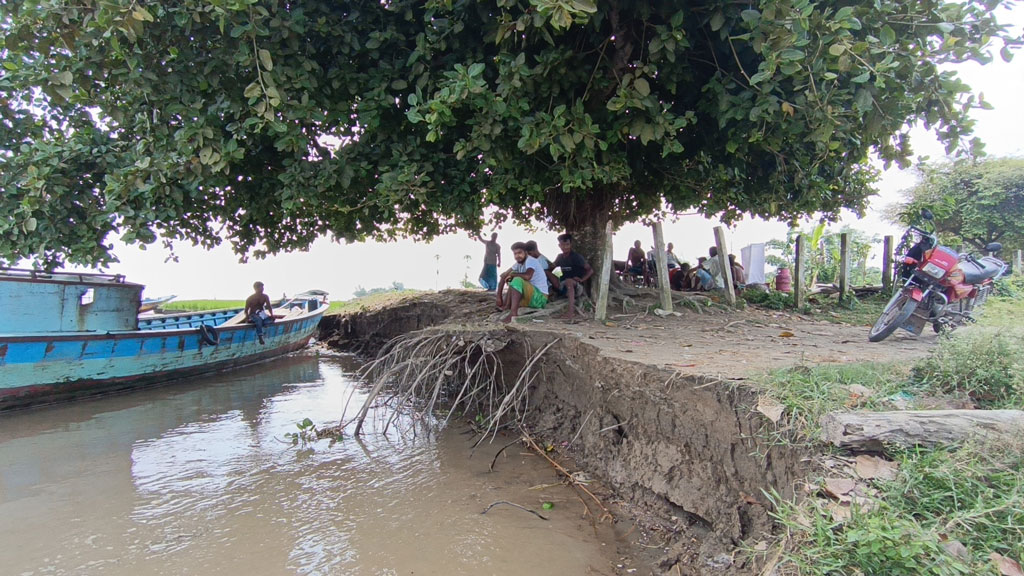 পদ্মার তীব্র ভাঙনে বিলীন তিন শতাধিক পরিবারের ঘরবাড়ি
