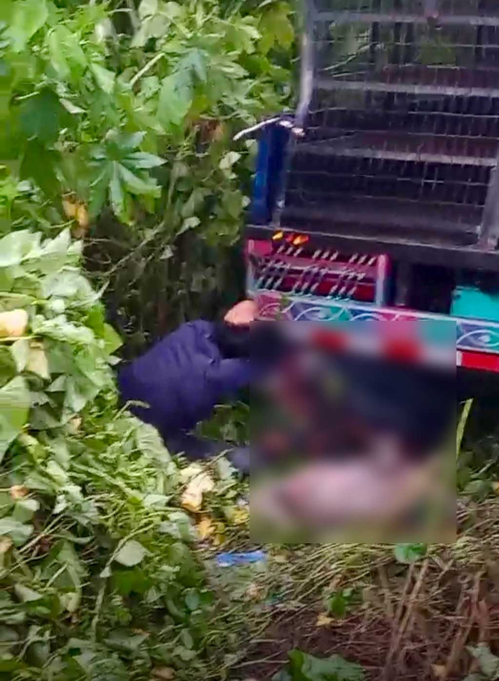 মানিকগঞ্জে ট্রাক-পিকআপের মুখোমুখি সংঘর্ষে নিহত ২