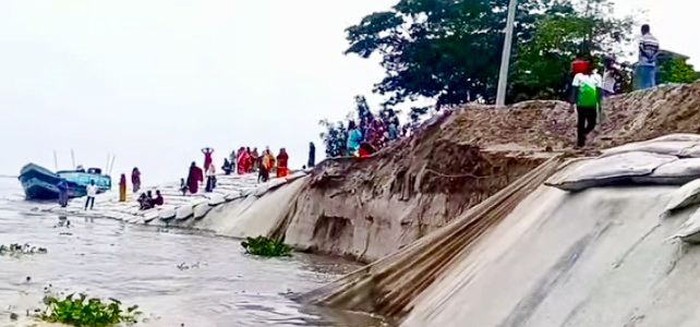 মানিকগঞ্জে পদ্মা-যমুনার তীব্র ভাঙনে ঘরবাড়ি, ফসলি জমি বিলীন, হুমকিতে শিক্ষাপ্রতিষ্ঠান