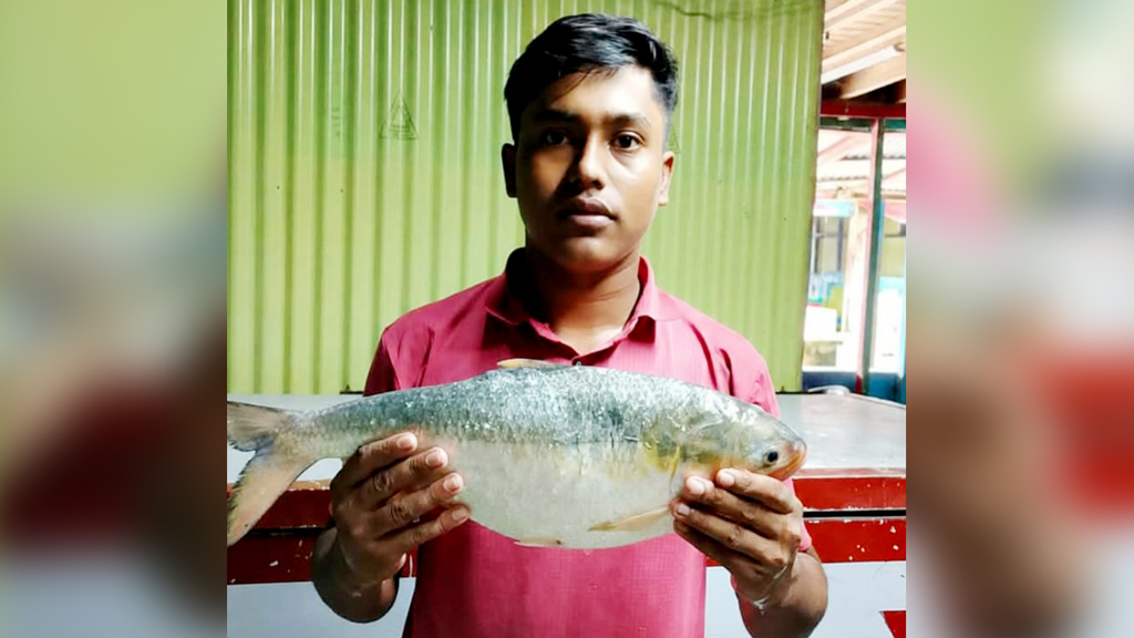 দুই কেজির ‘রাজা ইলিশ’ বিক্রি হলো ৯ হাজার টাকায়