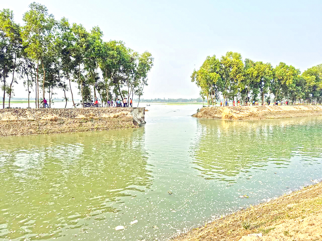 তিস্তা সেচনালার তীরে ভাঙন: ডুবল শতাধিক একরের ফসল