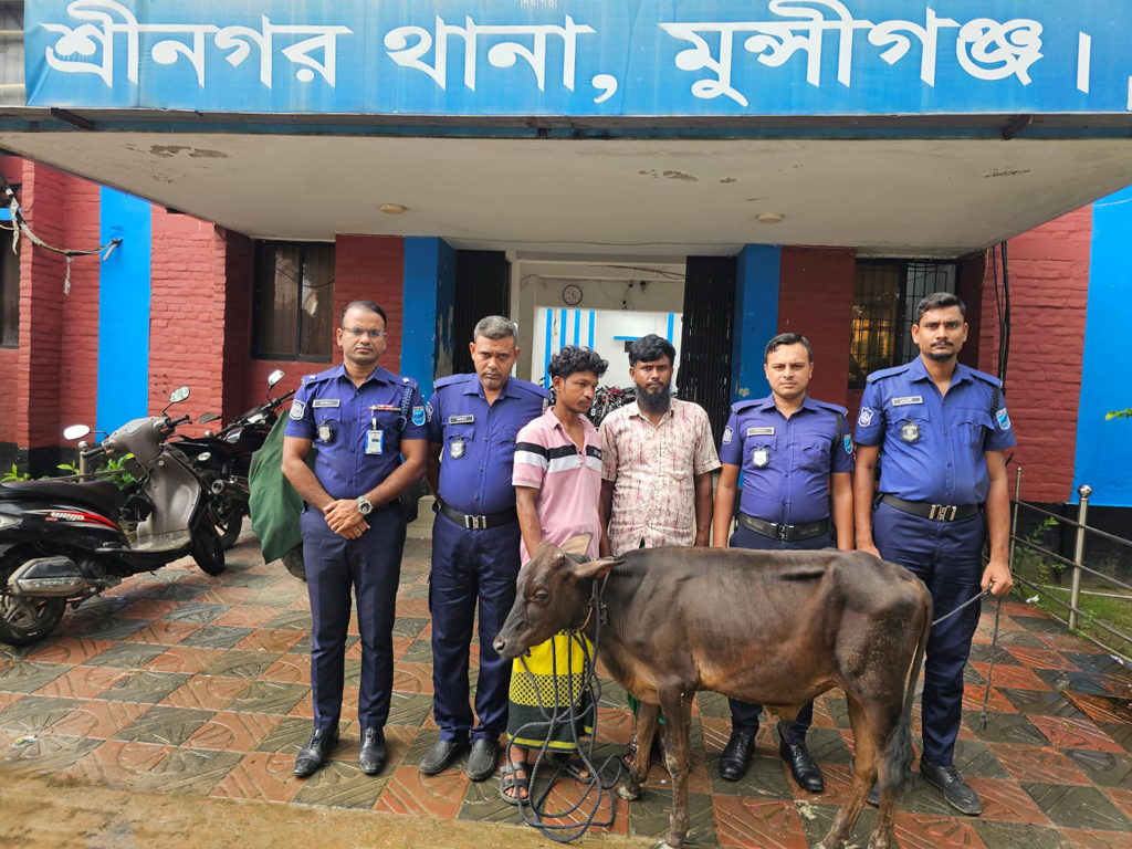 মুন্সিগঞ্জে আন্তজেলা চোর চক্রের ২ সদস্য গ্রেপ্তার, গরু উদ্ধার