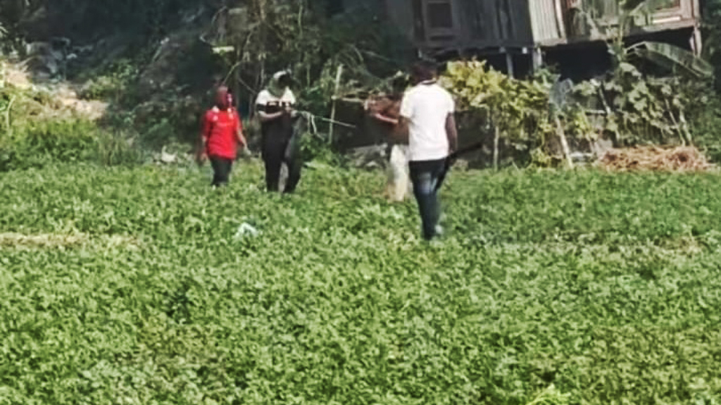 দুই প্রার্থীর সমর্থকদের মধ্যে সংঘর্ষ, গুলিবিদ্ধসহ আহত ১০