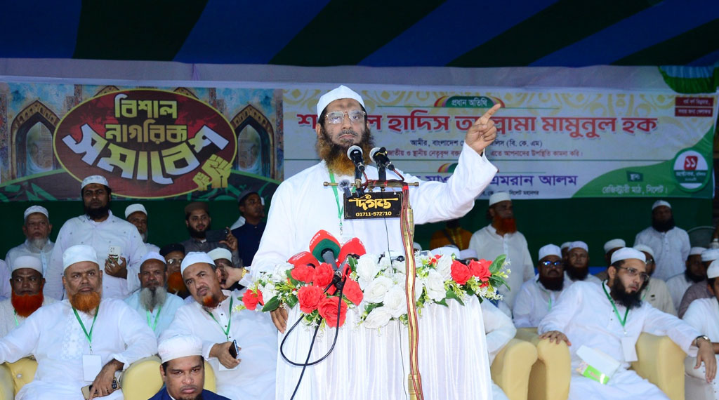 গণভোটের রায় বাস্তবায়ন না করে সরকার জনগণের সঙ্গে প্রতারণা করেছে: মামুনুল হক