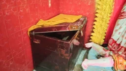 আগৈলঝাড়ায় মন্দিরের ট্রাঙ্ক ভেঙে টাকা ও পূজার উপকরণ চুরি