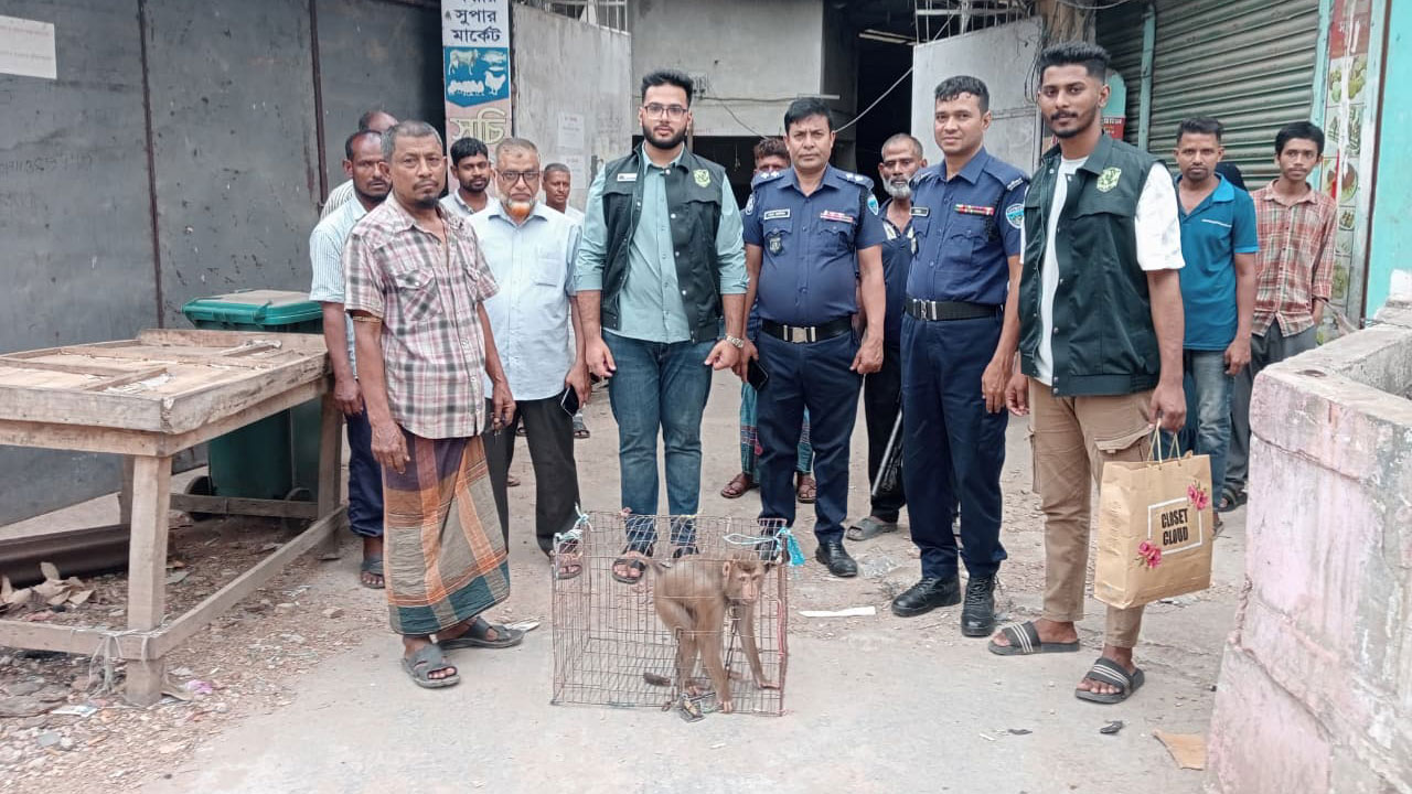 নোয়াখালীর সেনবাগে ১১টি পশু-পাখি উদ্ধার