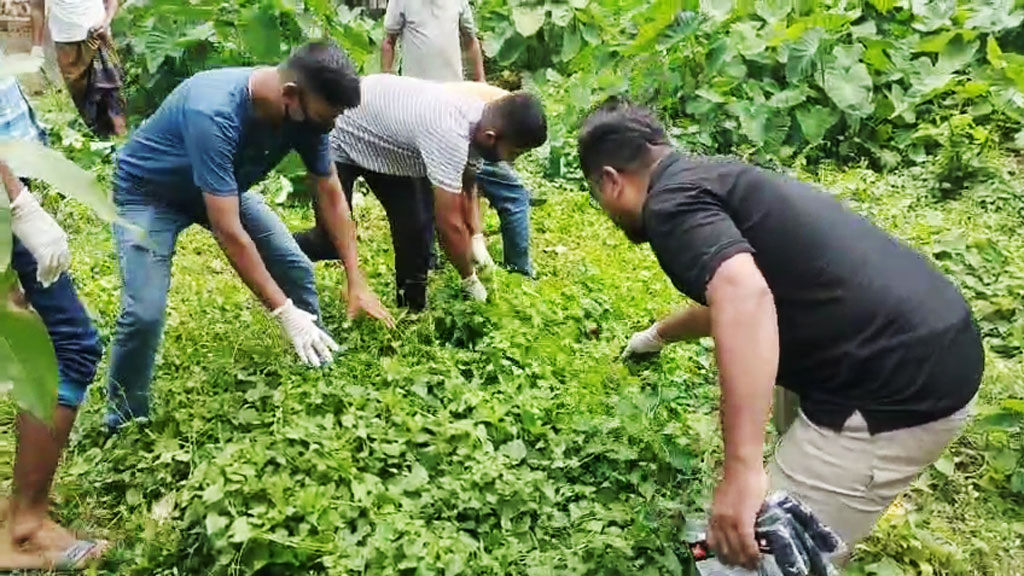 মনপুরায় উপজেলা স্বাস্থ্য কমপ্লেক্সের ময়লা-আবর্জনা পরিষ্কার করলেন যুবদলের নেতা-কর্মীরা