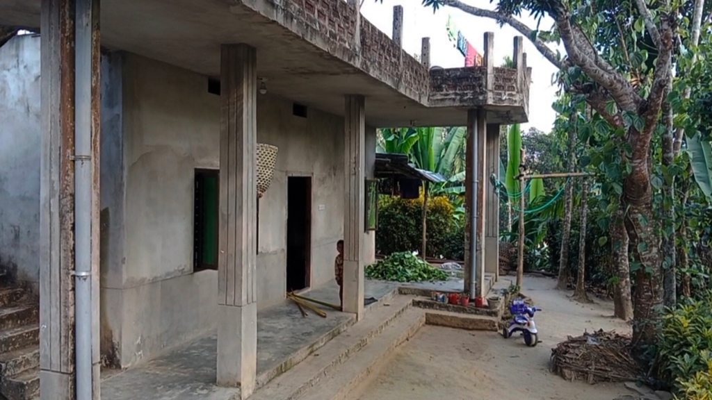 আইন ভেঙে সংরক্ষিত বনে পাকা ঘর নির্মাণের হিড়িক