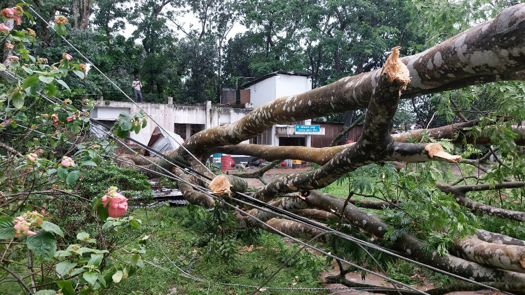মৌলভীবাজারে কালবৈশাখী, ২২৫ জায়গায় তার ছিঁড়ে বিপর্যস্ত বিদ্যুৎ ব্যবস্থা