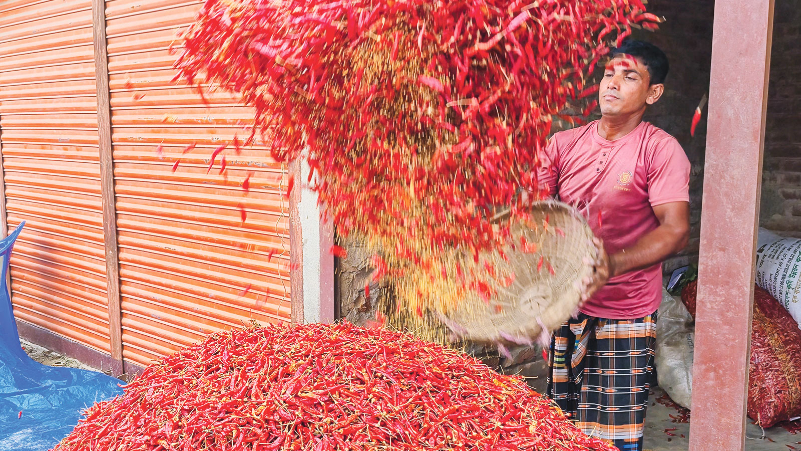 প্রতি হাটে ১০ কোটি টাকার শুকনা মরিচ বেচাকেনা