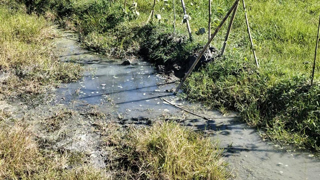 সীতাকুণ্ডে কৃষিজমিতে পড়ল মর্টাল শেল, আতঙ্কে স্থানীয়রা