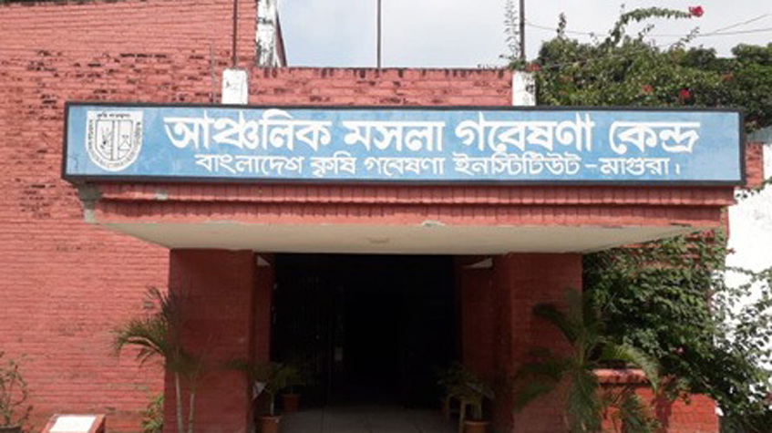 মাগুরার আঞ্চলিক মসলা গবেষণা কেন্দ্রের জমি অধিগ্রহণে দীর্ঘসূত্রতা, ক্ষতিগ্রস্ত ৩৬ ভূমি মালিক