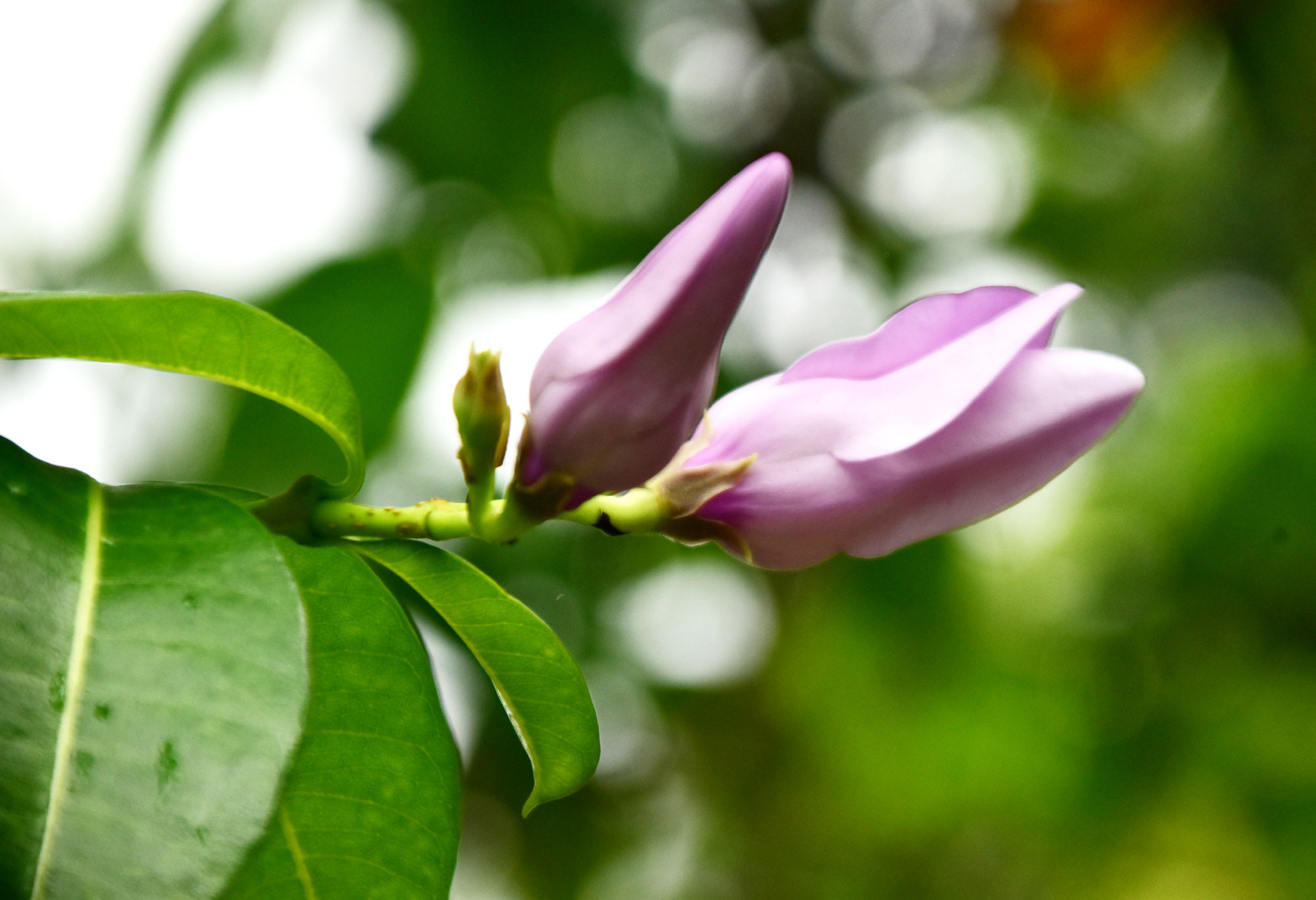 দিনের ছবি (২৩ জুন, ২০২৫)
