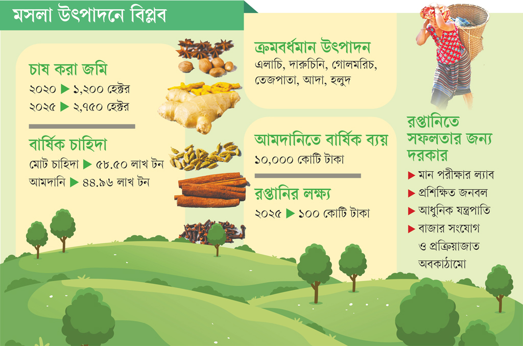 মসলায় স্বাবলম্বী পাহাড়ি কৃষক