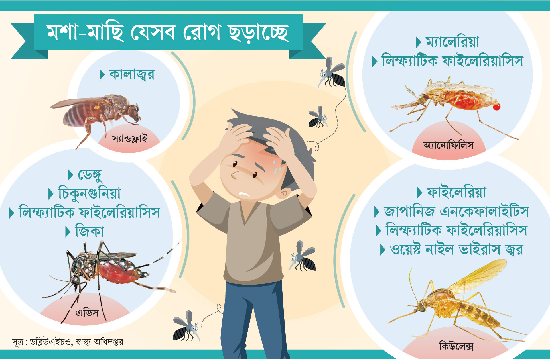 উদ্বেগ বাড়াচ্ছে মশাবাহিত ছয় রোগ