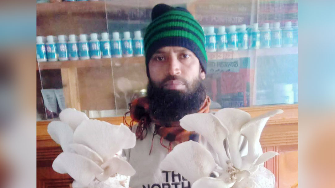 শখের মাশরুম চাষ থেকে বাণিজ্যিক সাফল্য বাউফলের মিলনের