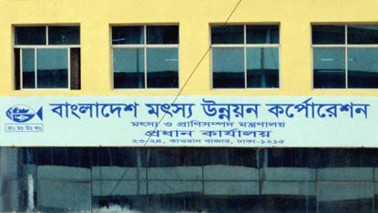 মৎস্য উন্নয়ন করপোরেশনে ১২ পদে চাকরির সুযোগ