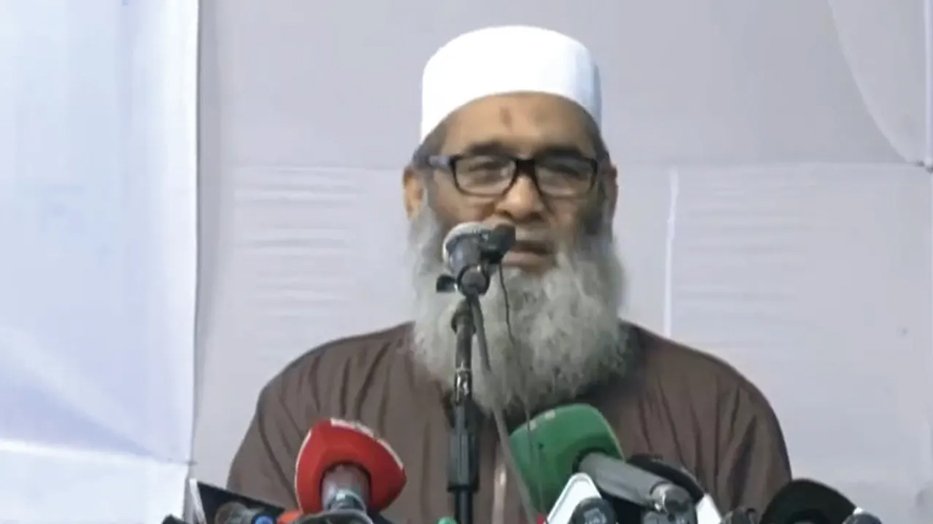পিআর নিয়ে নভেম্বরের মধ্যে গণভোট দিতে হবে: নায়েবে আমির মুজিবুর