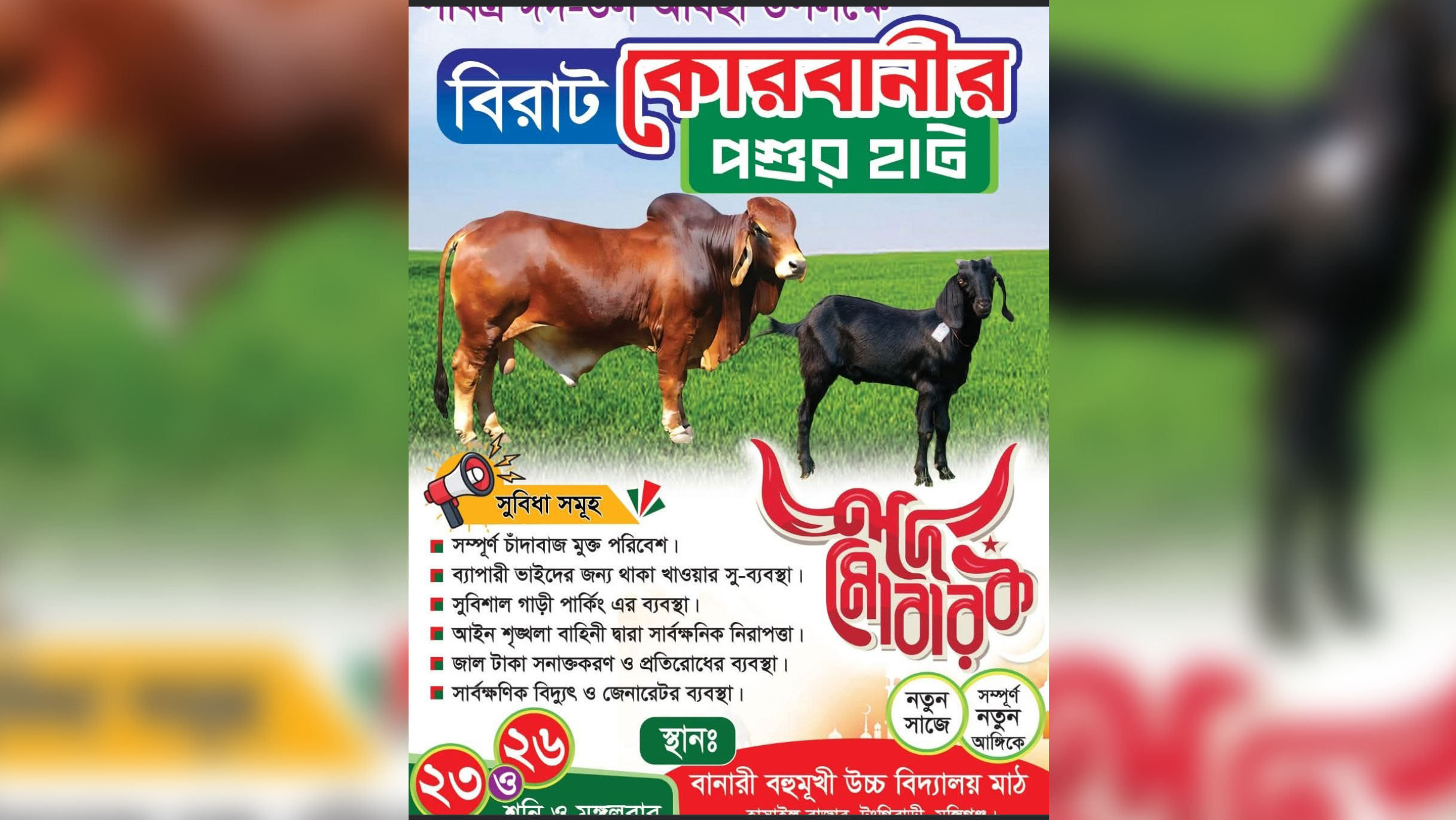 ইজারার আগেই কোরবানির পশুর হাটের প্রচারণা, টঙ্গিবাড়ীতে বিতর্ক