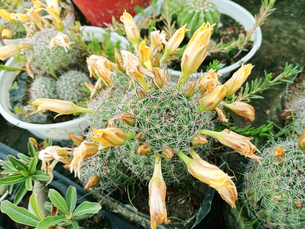 দিনের ছবি (৩১ মে, ২০২৫)
