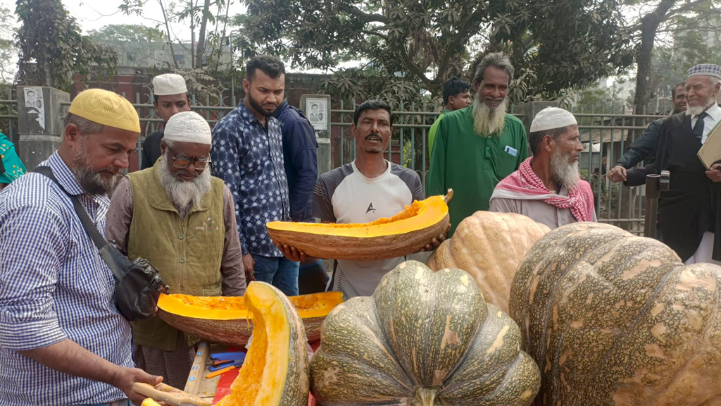 ময়মনসিংহে শত কেজি ওজনের মিষ্টিকুমড়া