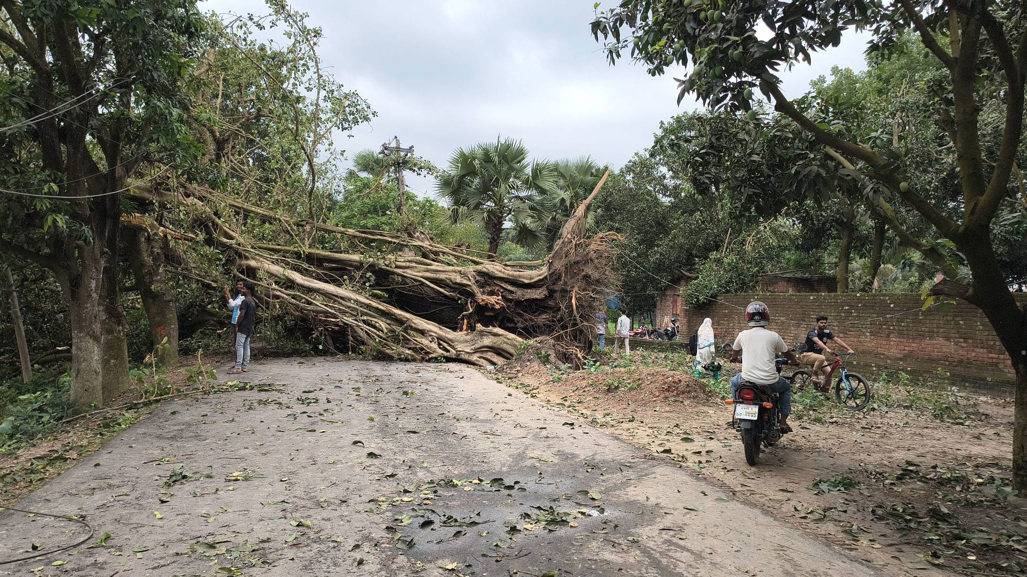 নওগাঁয় ঝড়ে লন্ডভন্ড বাড়িঘর-দোকানপাট