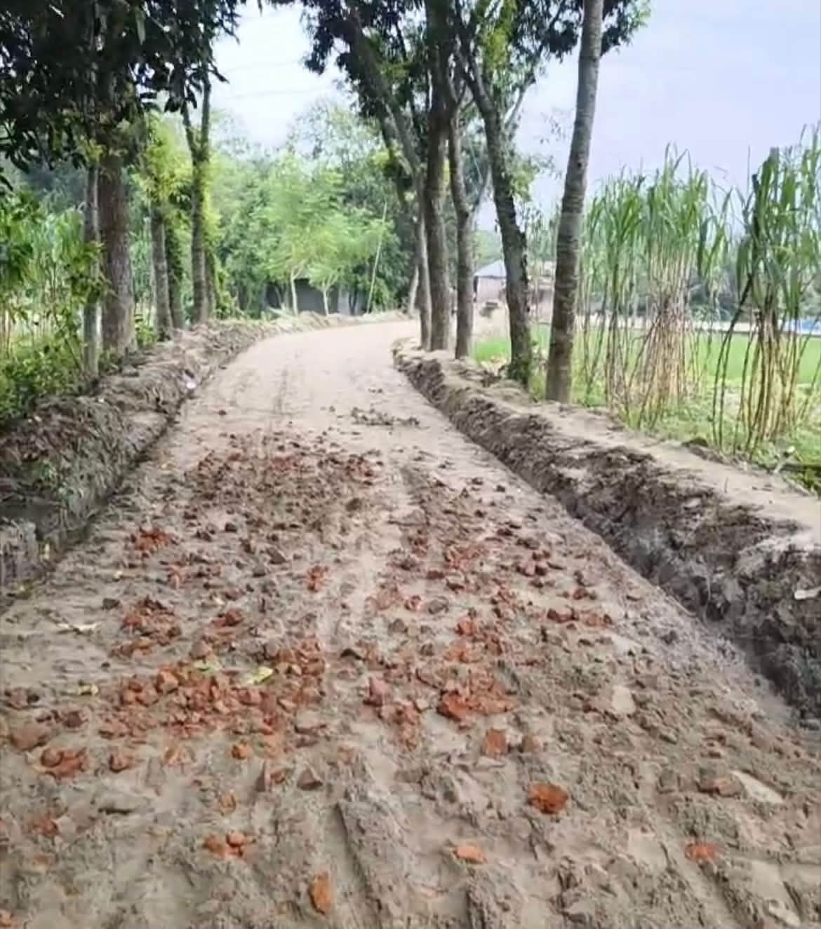 ৮ কোটির সড়ক নির্মাণে মাটি-আধলা ইট, ভিডিও ভাইরালের পর যা ঘটল...