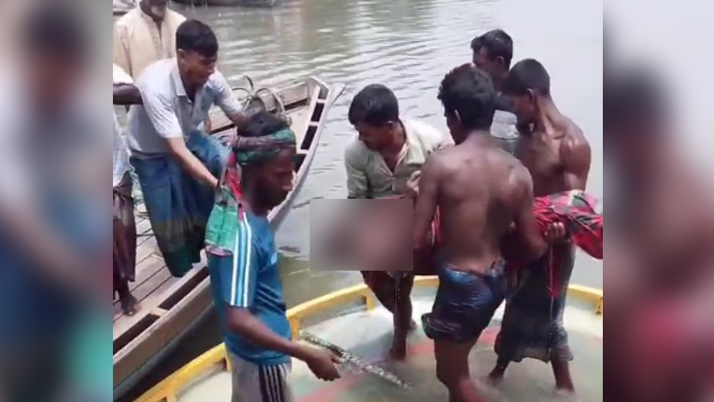 নেছারাবাদে কাঠবোঝাই ট্রলার ডুবে চালকের মৃত্যু