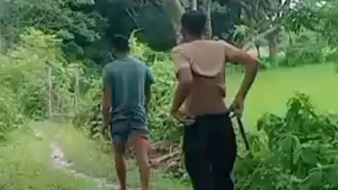 নেছারাবাদে ছেলের গলায় দাও ধরে গরু ব্যবসায়ীর টাকা ছিনতাই