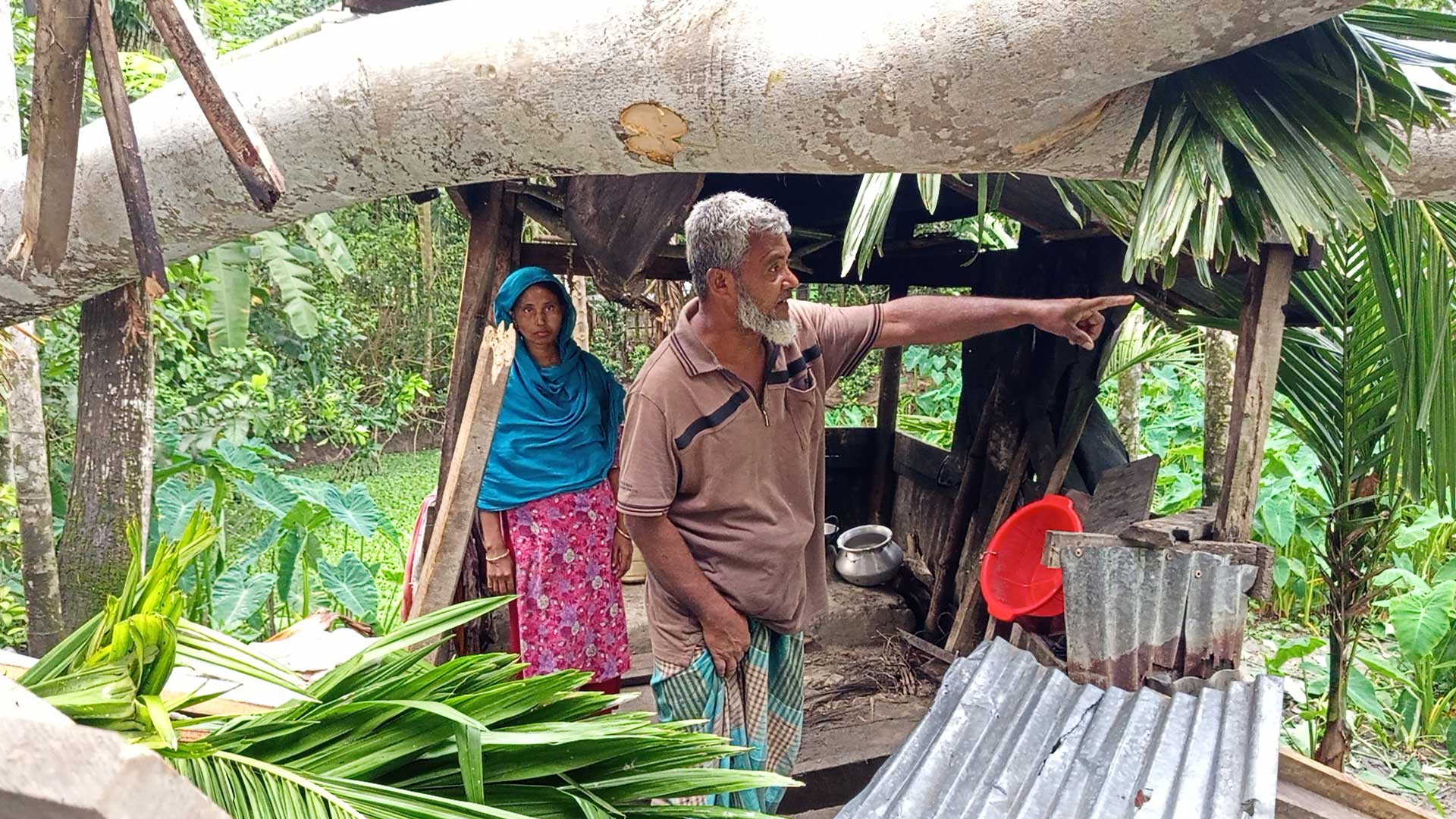 নেছারাবাদে ঝড়ে গাছ উপড়ে পড়ে গৃহবধূর মৃত্যু