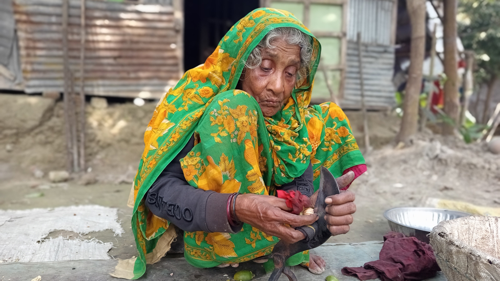 নদীতীরের জীর্ণ ঘরে আলেয়া বেগমের একাকী সংগ্রাম