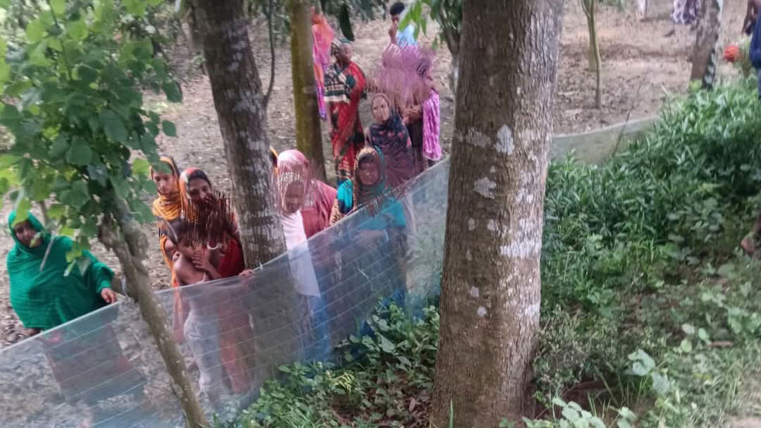 আমবাগান থেকে গলাকাটা যুবকের লাশ উদ্ধার