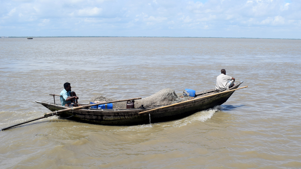 মধ্যরাত থেকে পদ্মা-মেঘনায় ২ মাস জাটকা ধরা নিষিদ্ধ