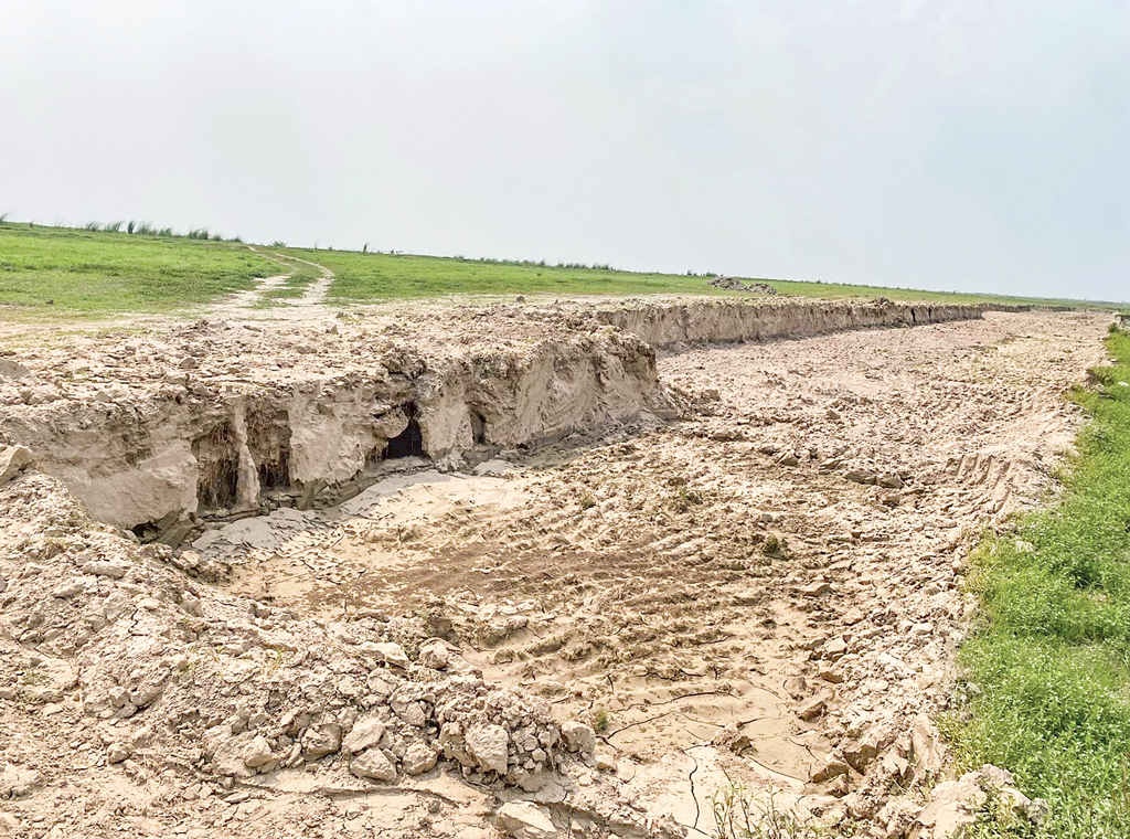 চাঁপাইনবাবগঞ্জ: পদ্মার পাঁচ পয়েন্টে মাটি লুট