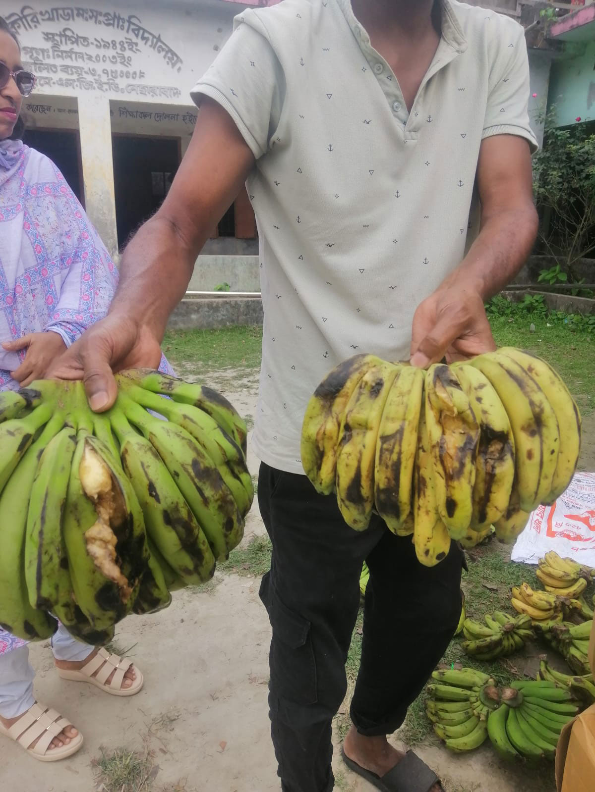 নেছারাবাদে সরকারি প্রাথমিক বিদ্যালয়ের স্কুল ফিডিংয়ে অনিয়মের অভিযোগ