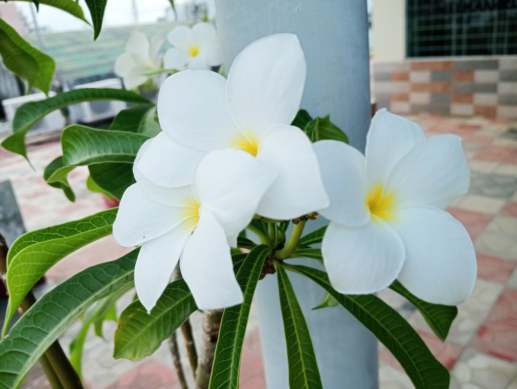 দিনের ছবি (৮ জুলাই ২০২৫)