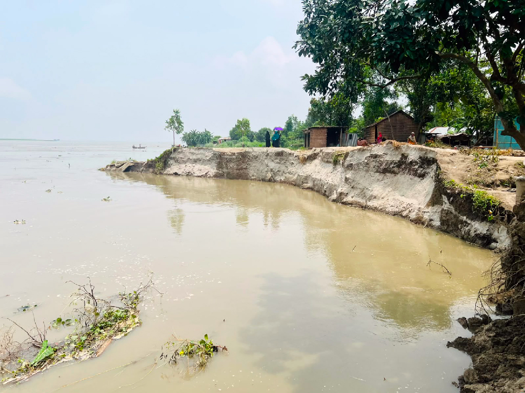 নাগরপুরে তীব্র নদীভাঙনে বিলীন অর্ধশত বসতবাড়ি, স্থাপনা ও ফসলি জমি