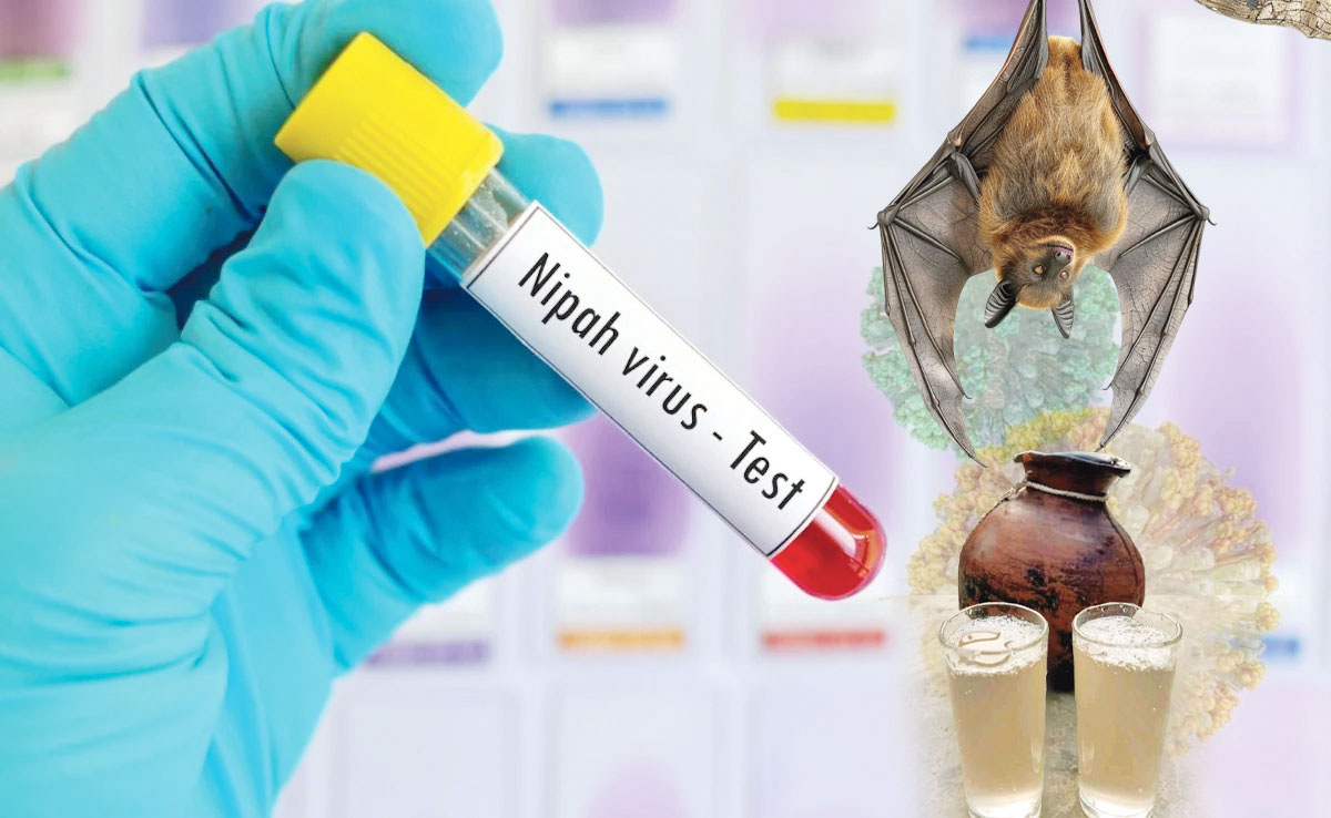 নিপাহ ভাইরাসের বিপদ ও প্রতিরোধের উপায়