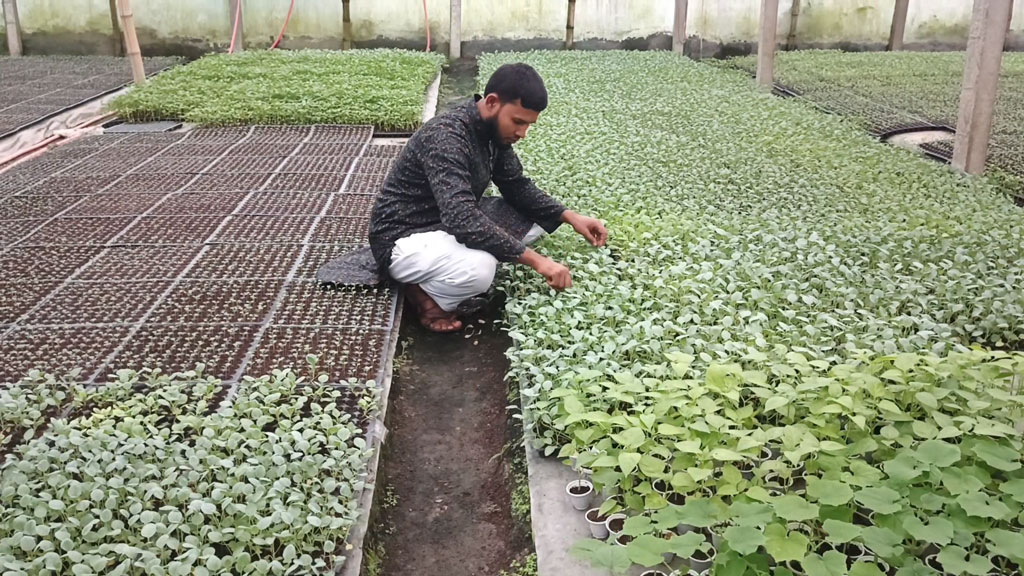 পলিনেট হাউসে কৃষিতে নতুন দিগন্ত, বছরে সোহেলের লাভ ১০ লাখ টাকা