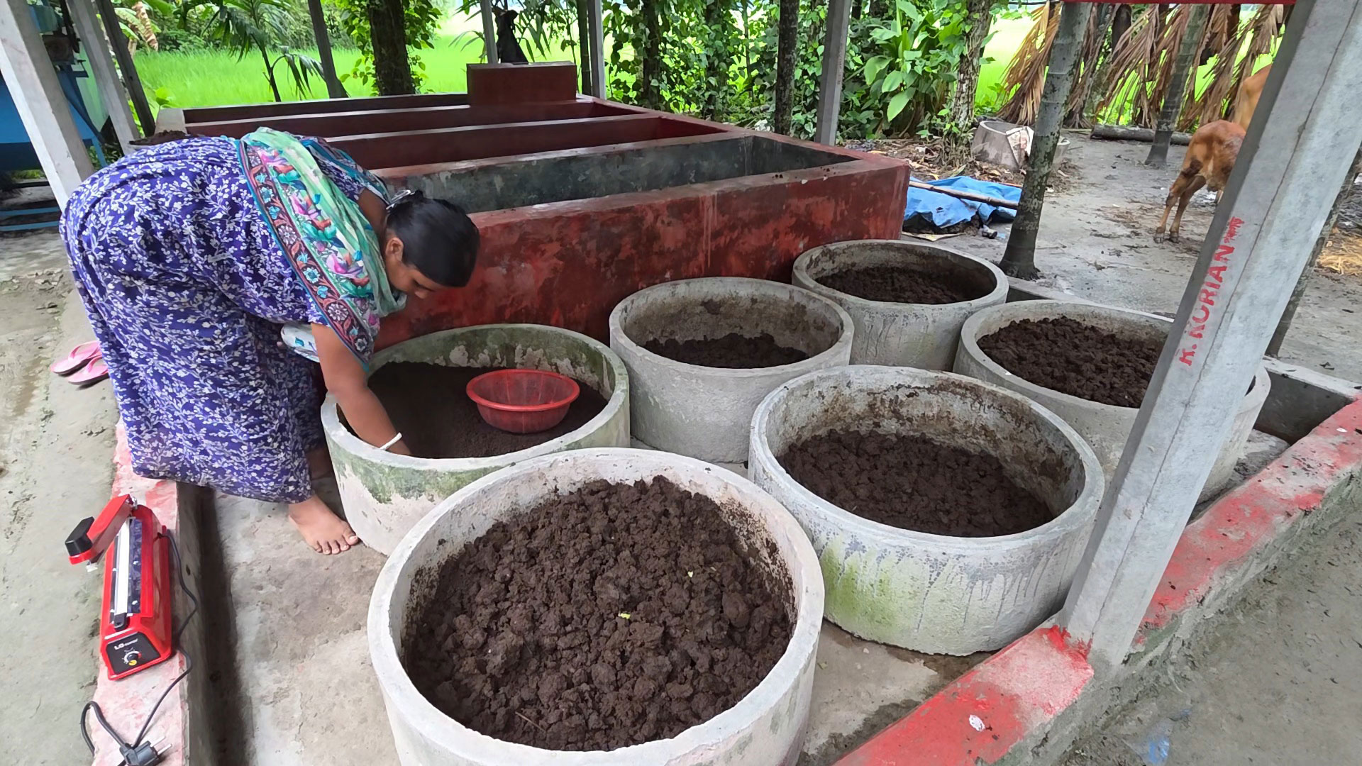 কেঁচো সার উৎপাদনে স্বাবলম্বী ডিমলার একাদশী