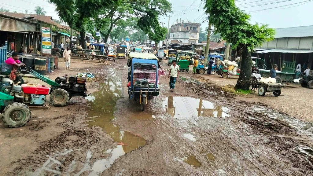 খানাখন্দে বেহাল নালিতাবাড়ী-হালুয়াঘাট সড়ক, ভোগান্তি